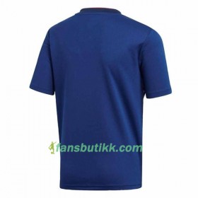 Fotballdrakt Japan Hjemmetrøye 2018